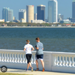 Bayshore Boulevard