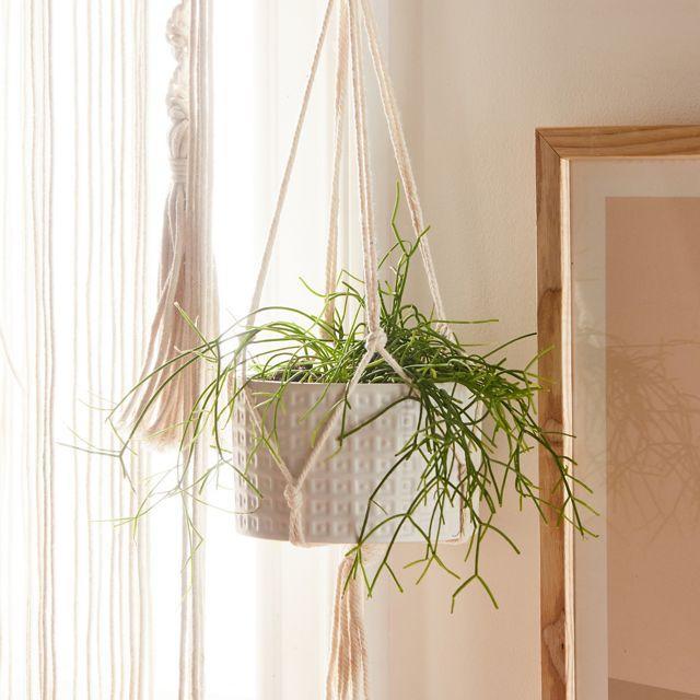 Dots 5” Hanging Planter