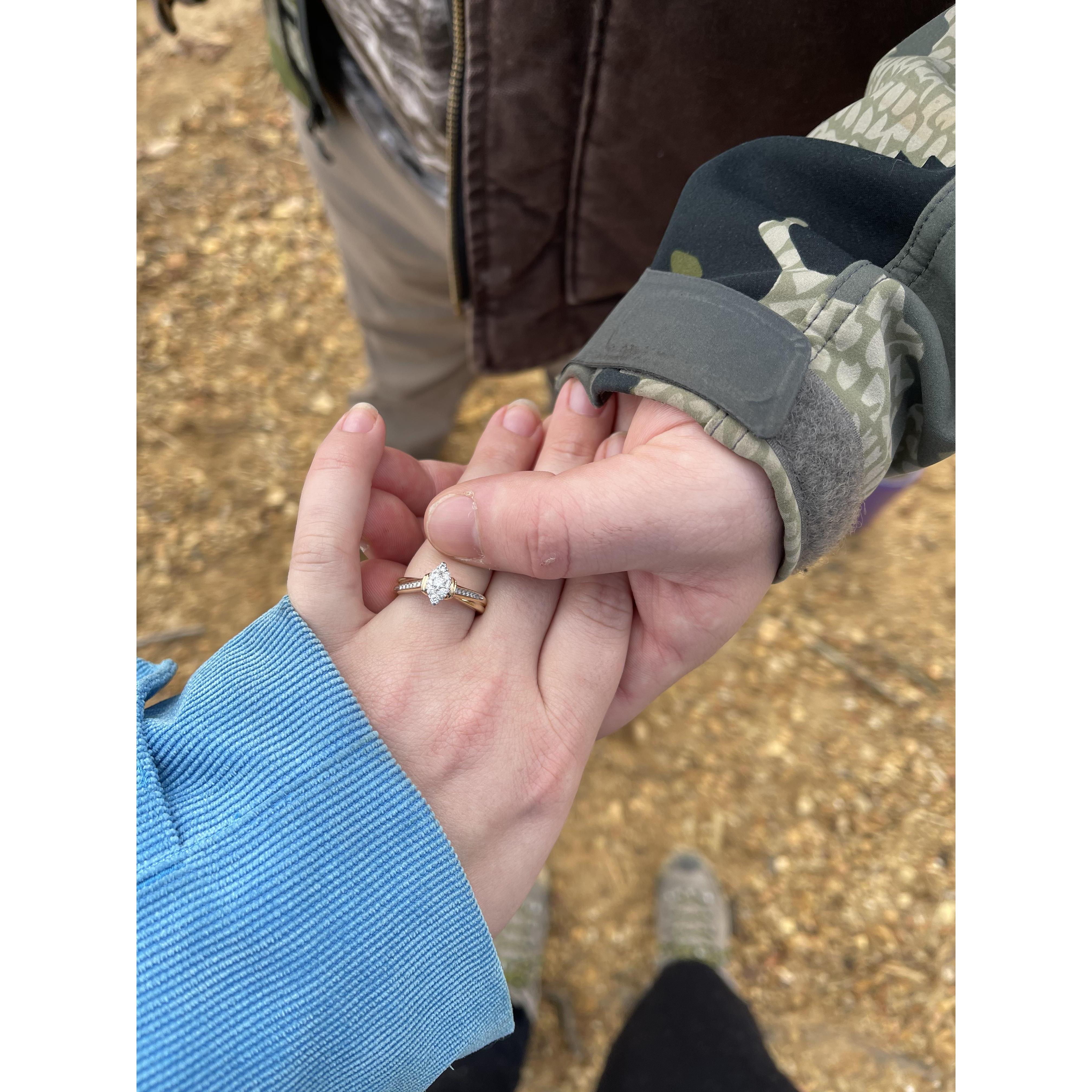 The Proposal Picture Story!