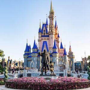 Family Trip to Disney World