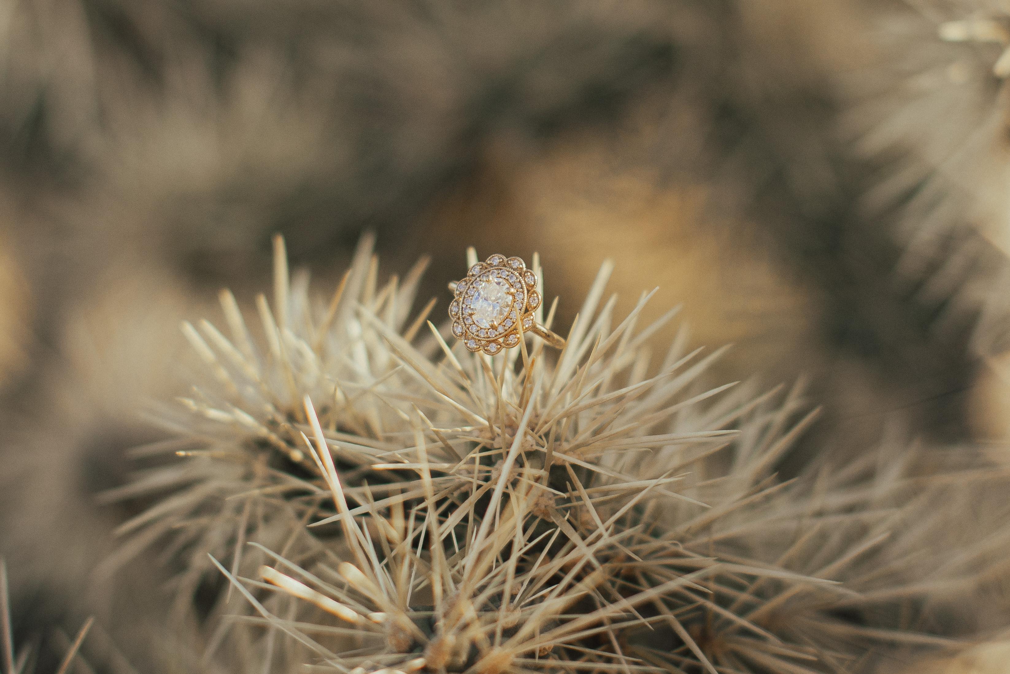 The Wedding Website of Haley Burns and Ethan Critchfield
