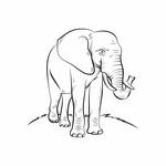 Elephant Sanctuary