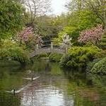 Fort Worth Botanic Garden