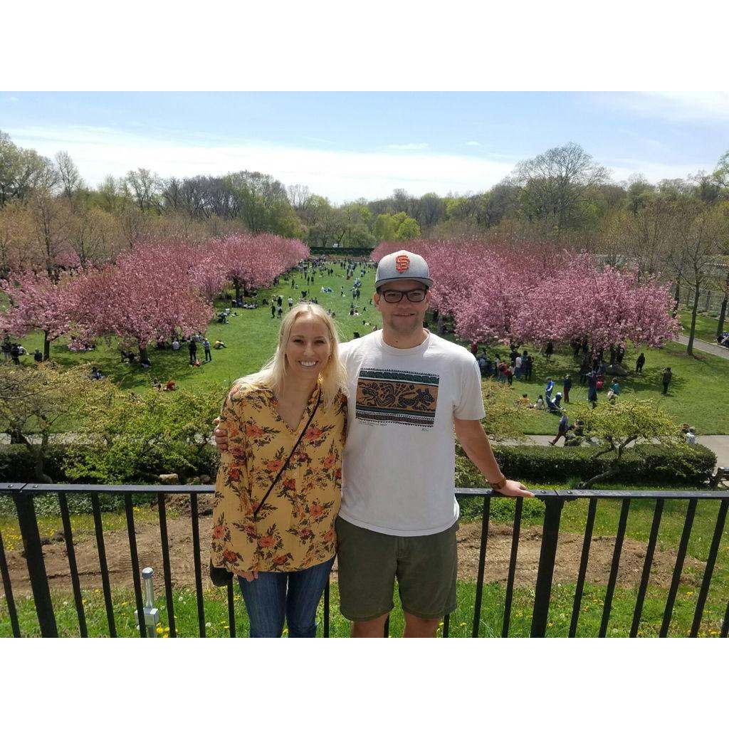 April 2017 - Brooklyn Botanic Garden, New York City