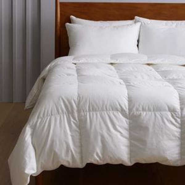 Premium Down Alternative Essentials Bundle in White