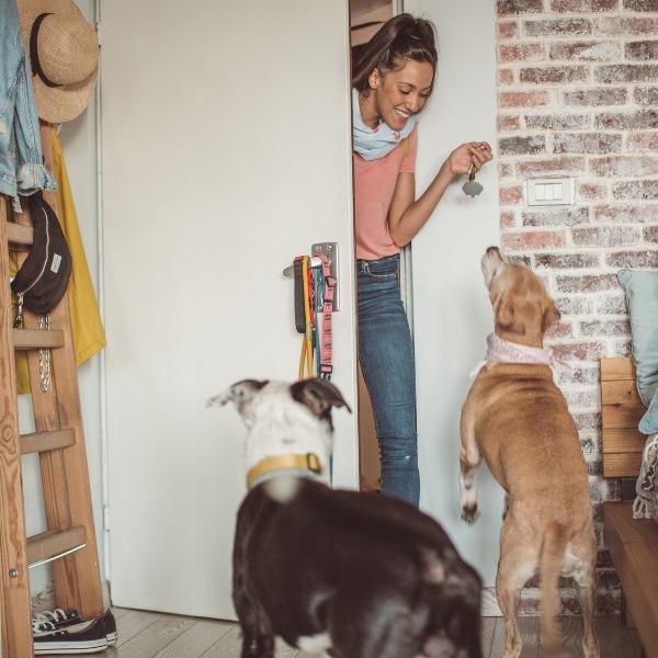 Pet Sitter for Date Night