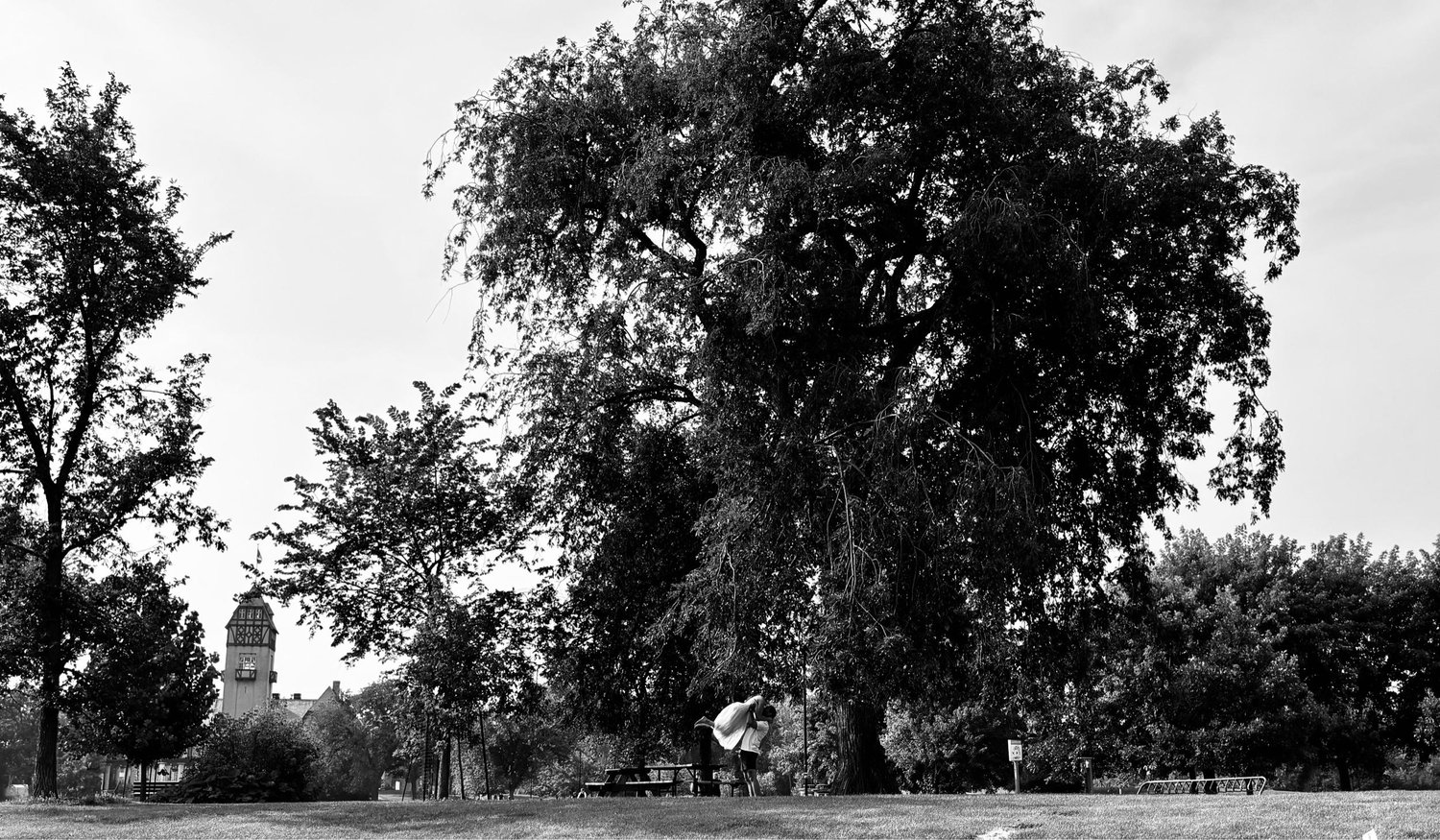 The Wedding Website of Mel Kelly and Joe Kupfer