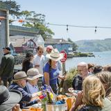 The Boat Oyster Bar at the Hog Island Oyster Farm