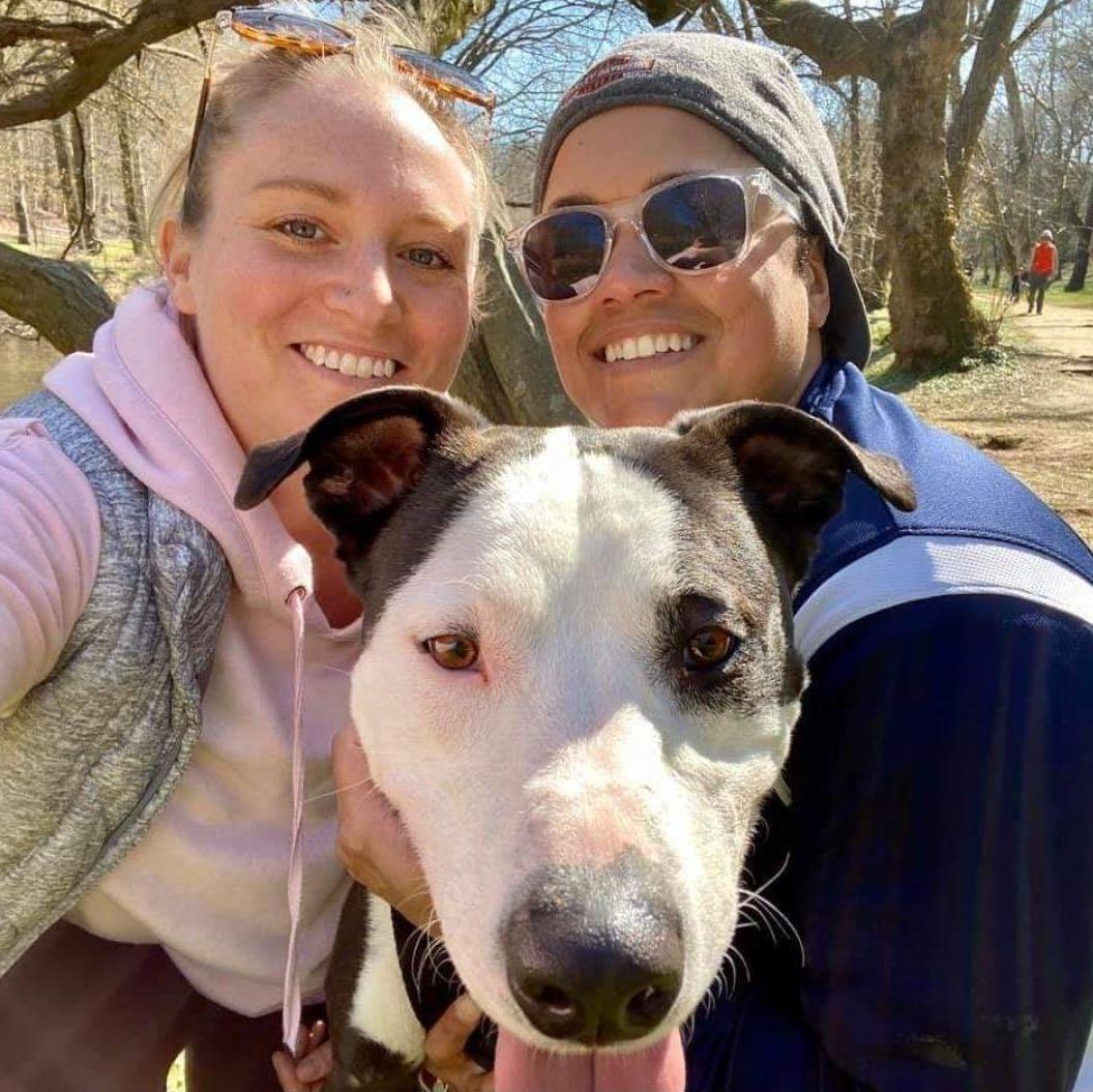 The first hike we took Apollo on in 2020.