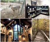 Walter B Jacobs Memorial Nature Park