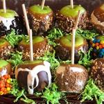 Sweet Shoppe Candy Store