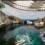 Montreal Biodome