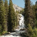 Jackson Hole Whitewater