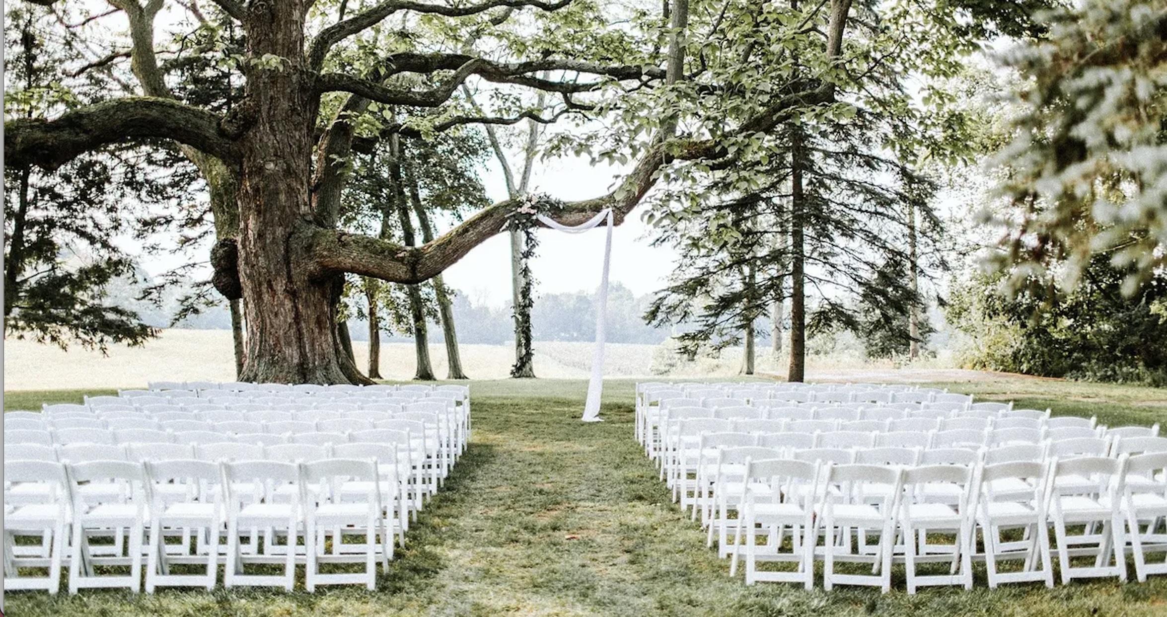 The Wedding Website of Dani Nazarek and Michael Judkins
