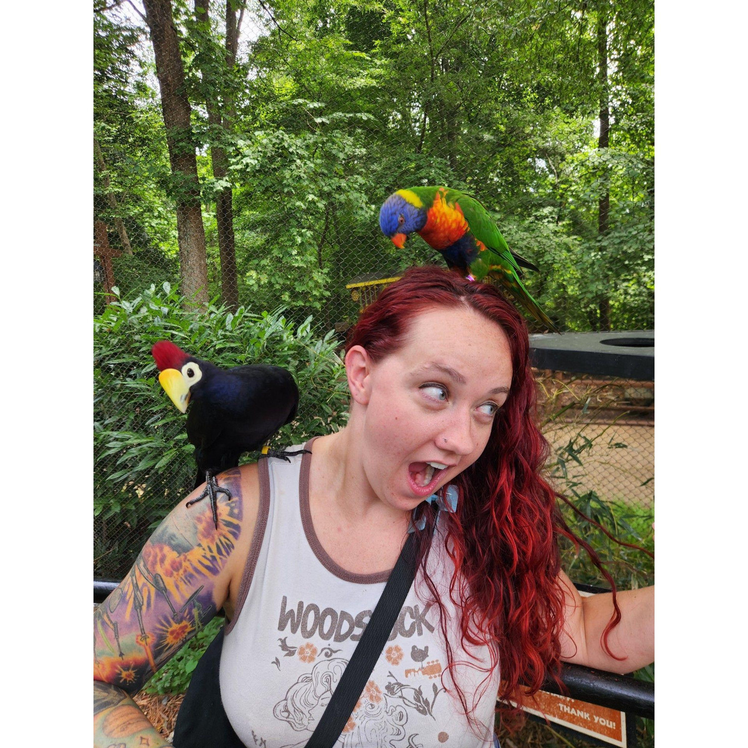 This was at Busch Gardens in their aviary! It was on of Chris and Carissa's first dates!