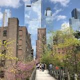 The High Line