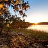Skidaway Island State Park