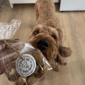 Year's Supply Of Pet Treats- Ella thanks you