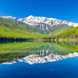 Flathead National Forest