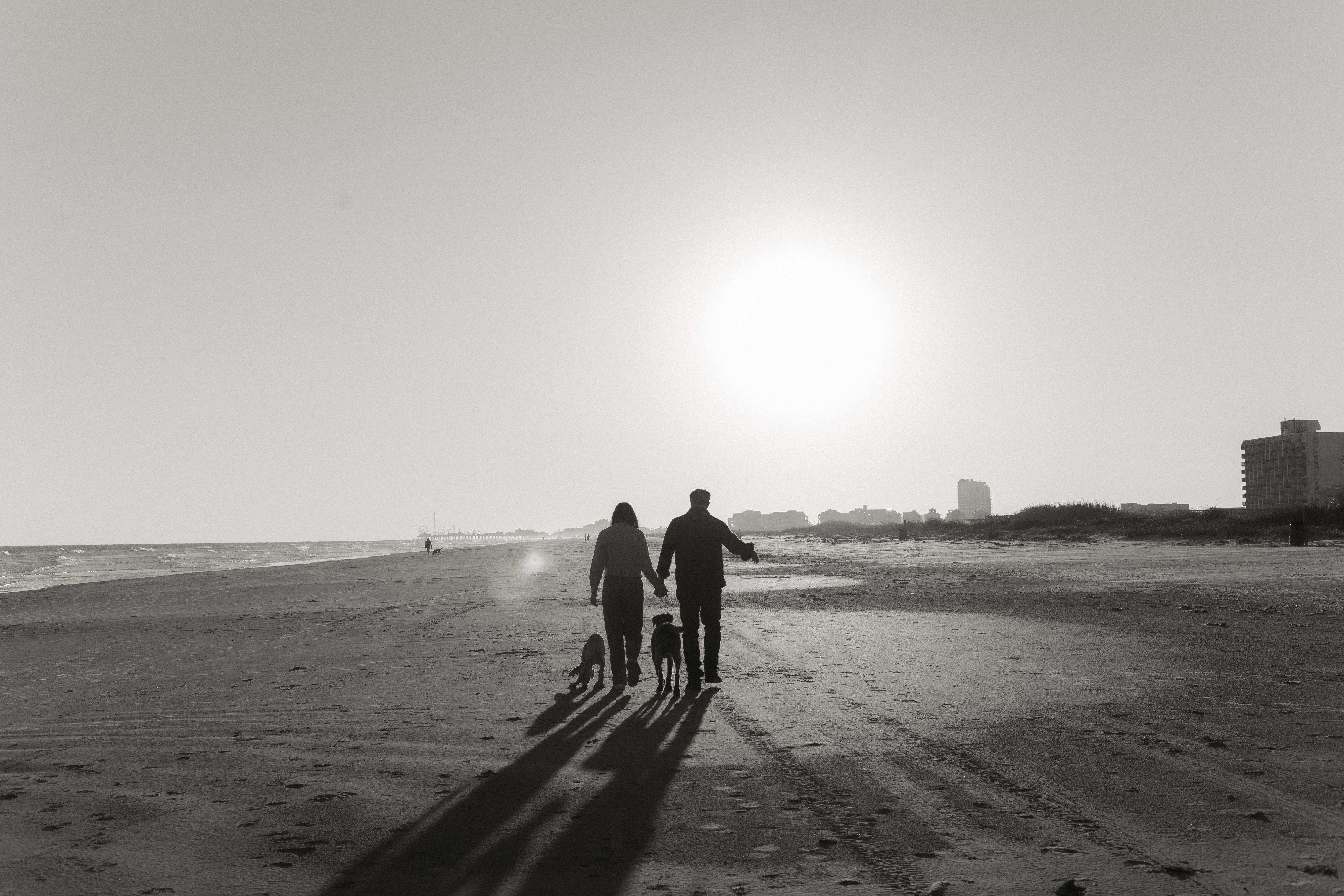 The Wedding Website of Abigail White and Hayden Gardner