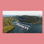 Norris Dam Marina