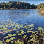 Brighton Recreation Area