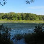 Allamuchy Mountain State Park, Deer Park