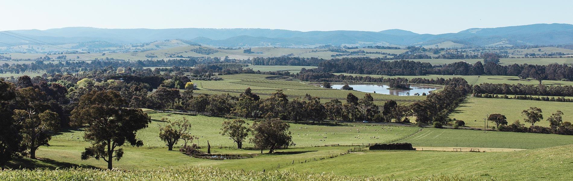 The Wedding Website of Mitch Thorp and Steph McIntyre