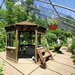 Sunday midday: Butterfly Fest at Beaver Creek