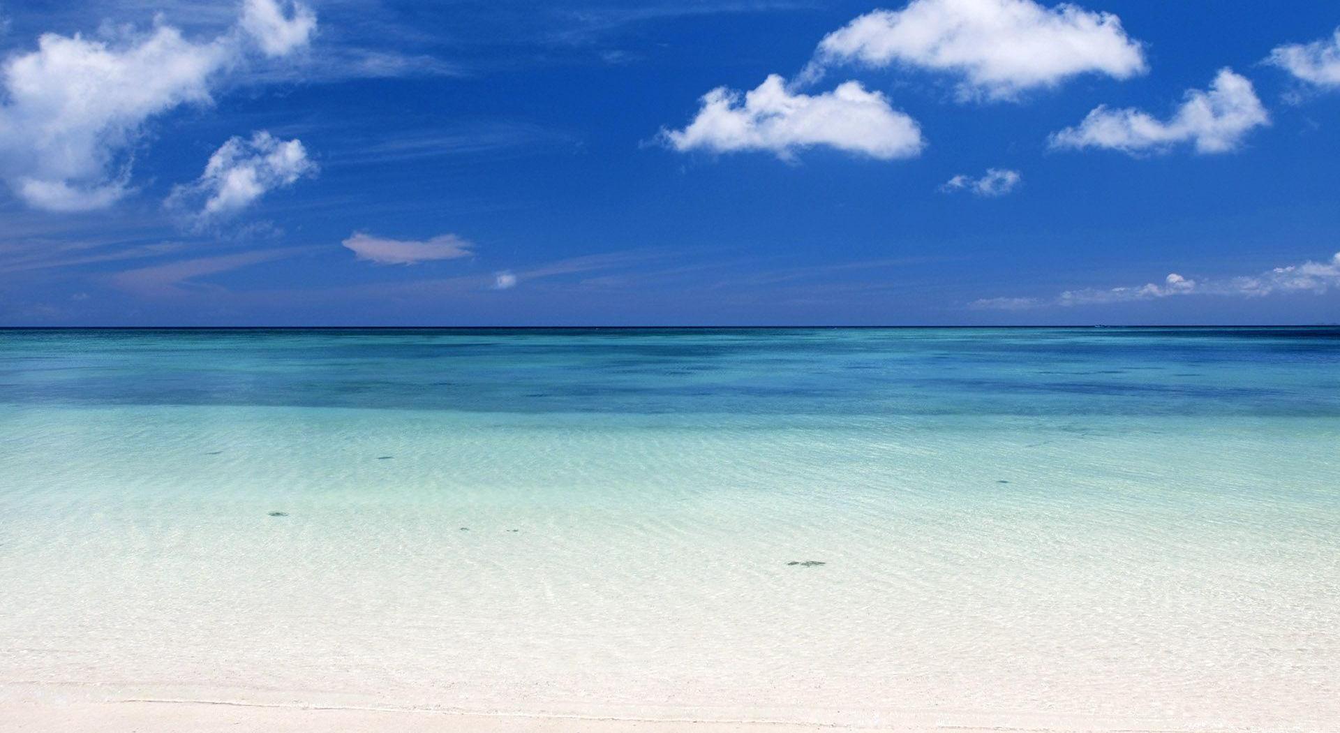 Footer image