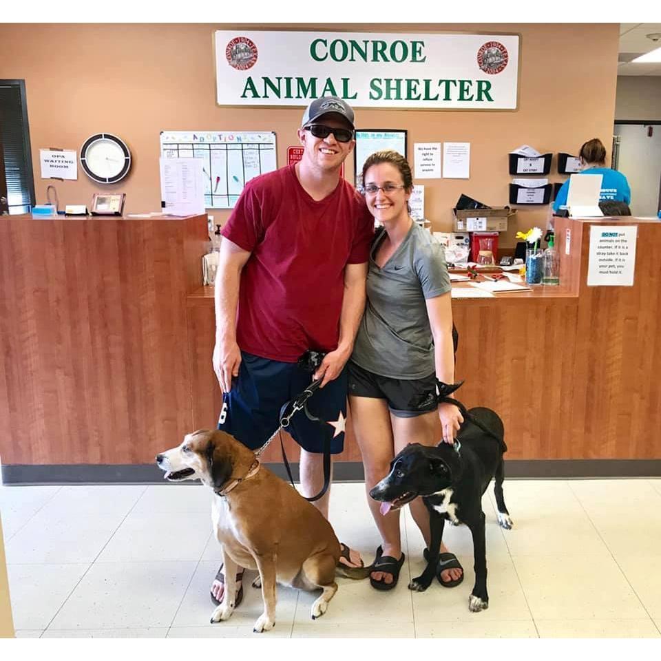 Our family grew by 4 paws when we adopted Abby (the black haired dog).