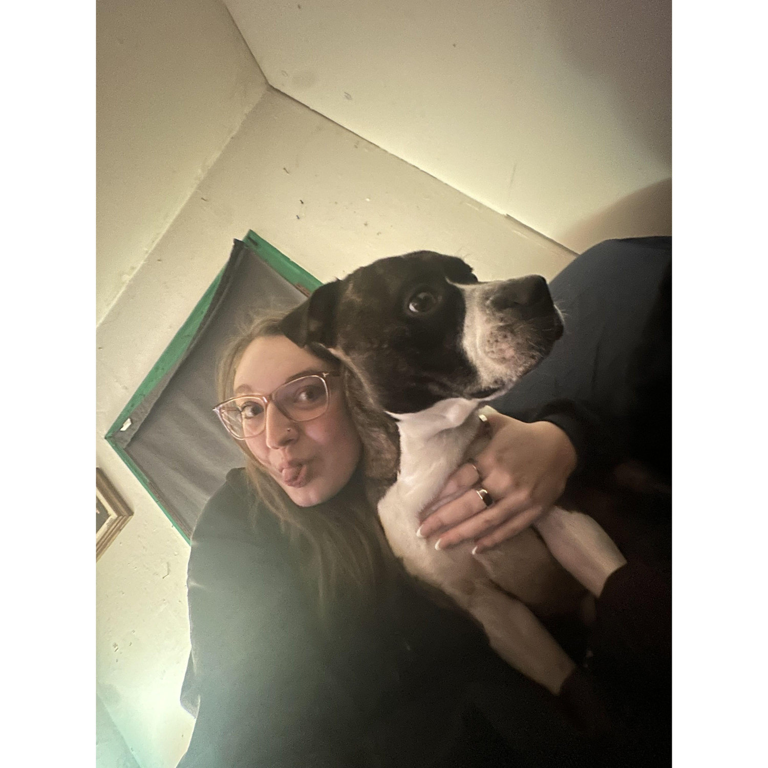 brooklyn and duke (chester's dog)