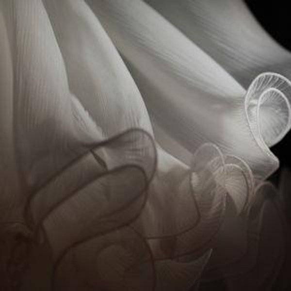 Wedding Dress Preservation