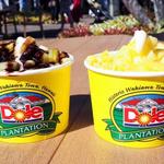 Dole Plantation