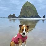 Cannon Beach