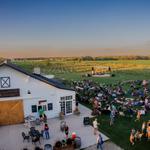 LedgeStone Vineyards & Winery + Gnarly Cedar Brewery
