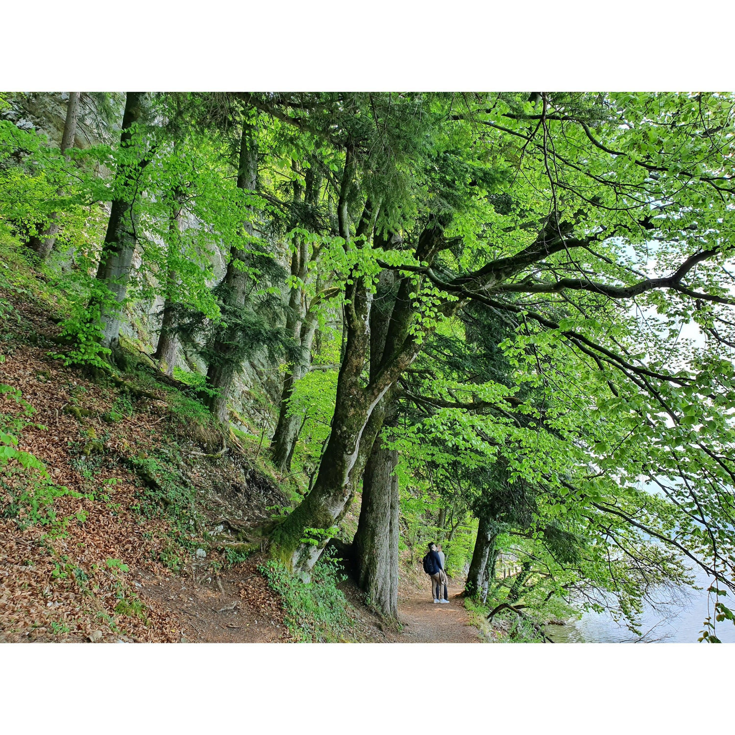 Falkenstein