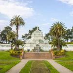 Golden Gate Park