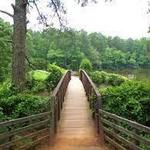William B. Umstead State Park