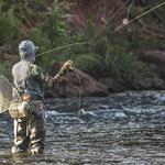 Fly Fishing