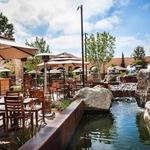 Eat/Drink - Stone Brewing World Bistro & Gardens