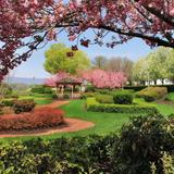 Harrisburg Sunken Garden