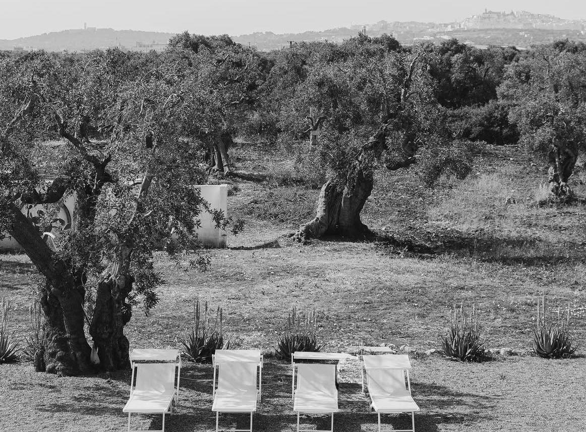 The Wedding Website of Carola Deflorio and Charlie Misell