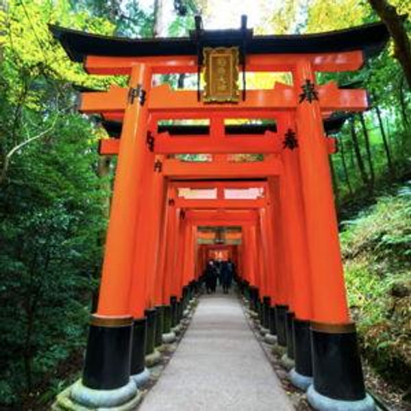 Inari Shrine Tickets