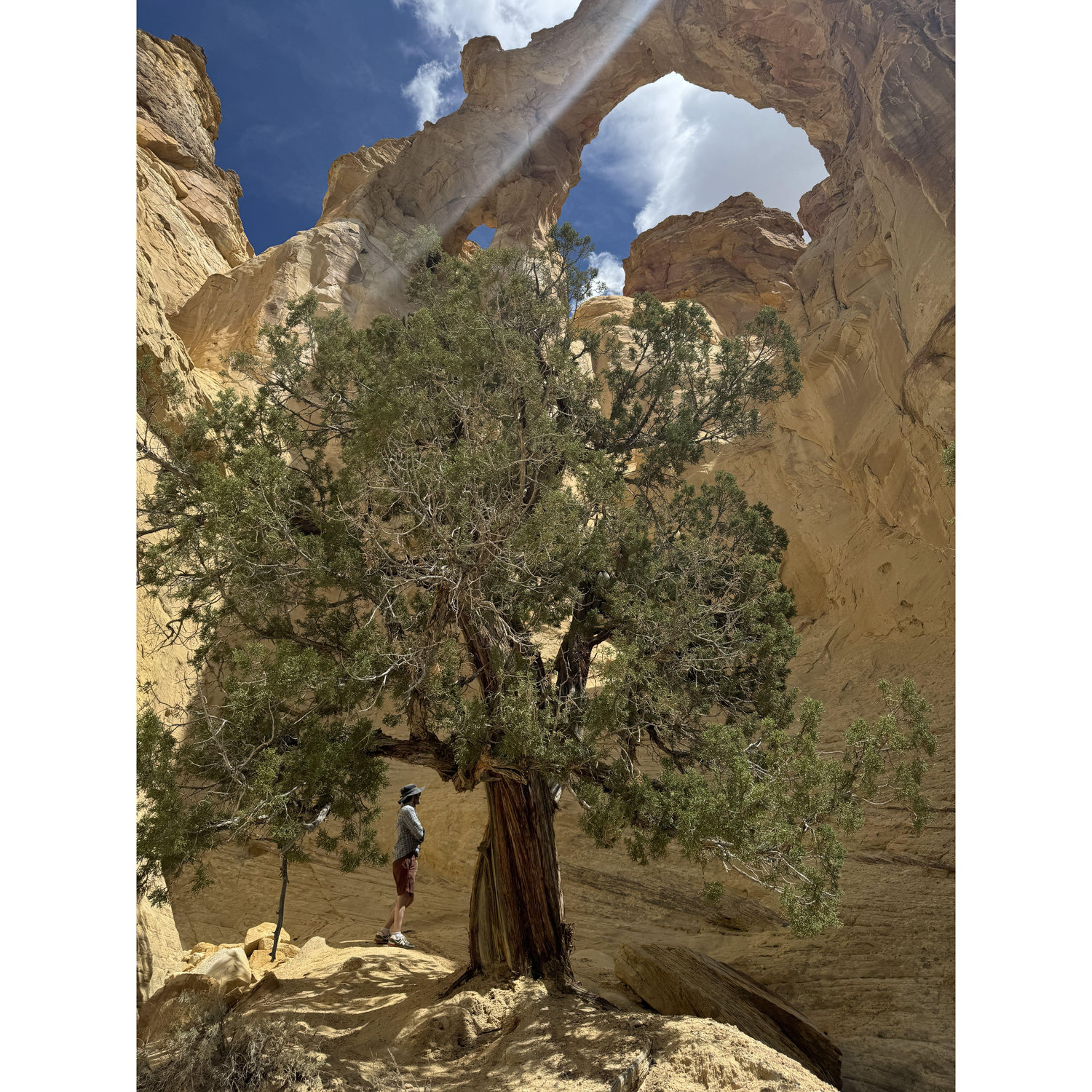Grand Staircase National Monument, Utah