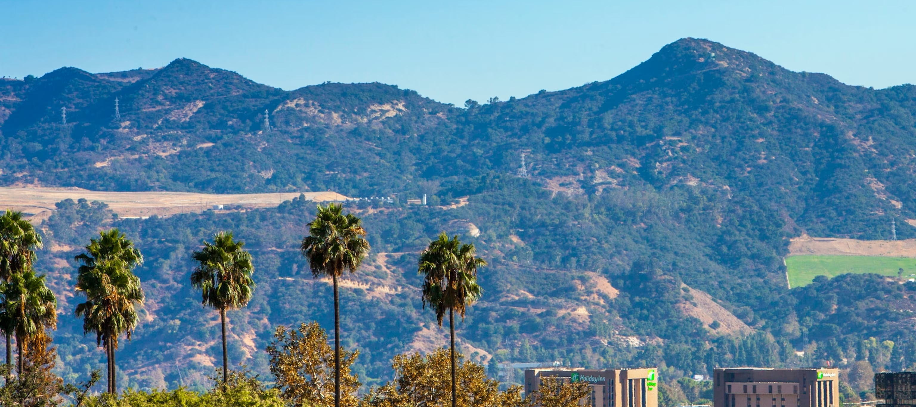 The Wedding Website of Jessica Devaney and Michael Guerard