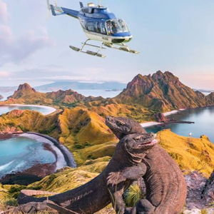 Flybali Helicopter Ride