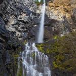Snoquera Falls Hike