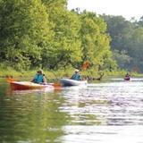 Saluda Shoals Kayaking