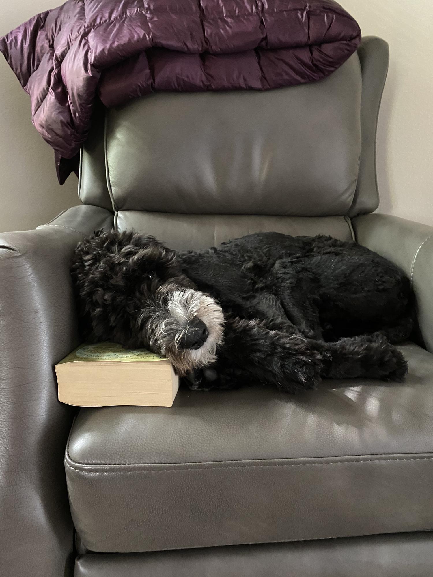 Harry potter makes a great pillow